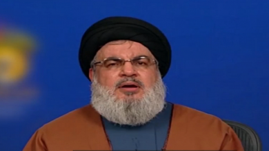 Seyyed Nasrallah rejects Hezbollah forces' fighting in Ukraine