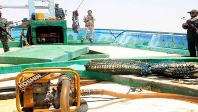 IRGC seizes vessel smuggling fuel