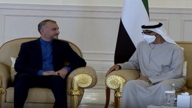 Iranian Foreign Minister meets UAE President in Abu Dhabi