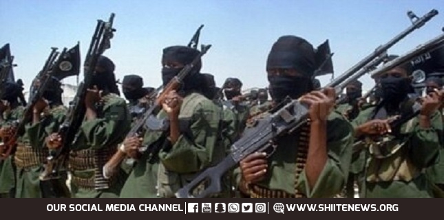 13 al-Shabaab terrorists killed in airstrike in Somalia