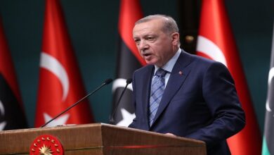Turkey’s Erdogan: US still feeding terrorism in Syria, Iraq
