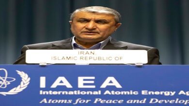 Nuclear Chief Warns IAEA: ‘Israel’ Plotting Spyware against Iran Nuclear Work