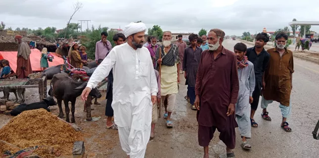 Greedy rulers’ priority, acquisition of wealth, power rather than public welfare, Domki