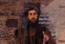 The Dangerous Gamble Zawahiri's killing and Taliban's Blame