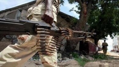 49 al-Shabaab terrorists killed in Somali Army operation