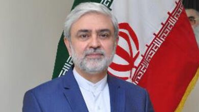 Pak-Iran must thwart conspiracies together, Iranian Envoy