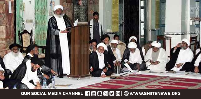 Without eliminating banned Takfiri terrorist organizations, peace is not possible in Pakistan, Wifaq ul Madaris Shia