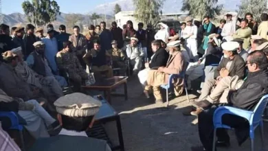 Tribes agree to resolve Pak-Afghan land dispute