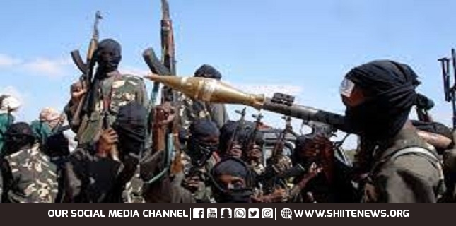 15 al-Shabaab terrorists killed in Somalian capital