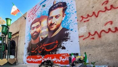 Foreign-provoked murderer of two Iranian security forces executed