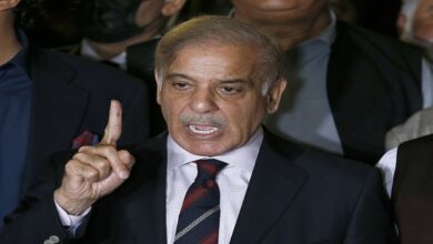 Terrorists to be dealt with an iron fist PM Shehbaz