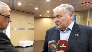 US presence in Syria is illegitimate and must be ended, Russian parliamentarian says