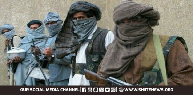 Khyber Pakhtunkhwa clerics issue fatwa denouncing terrorism