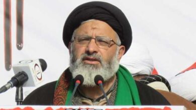 Govt should restore state subject rule in GB, Agha Ali Rizvi