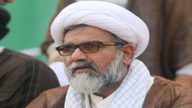 Peshawar incident is a question mark on the performance of security agencies, Chairman MWM
