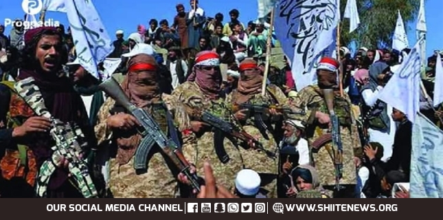 Who claimed responsibility for recent Shia target killing in DIKhan ?