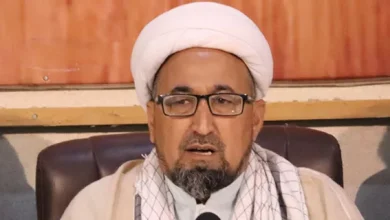 Shiite school does not support any bill that causes unrest in the country, Allama Sadiq Jafari