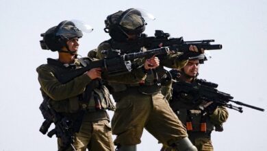 Israeli forces have killed nine Palestinian children this year: Palestine