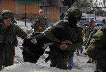 Israeli forces detain more than a dozen Palestinians in multiple raids