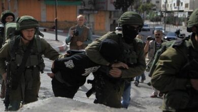 Israeli forces detain more than a dozen Palestinians in multiple raids