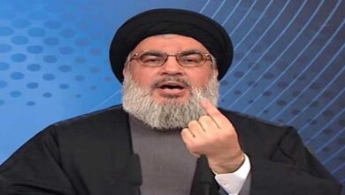 Resistance not supported by anyone except Iran, Syria Nasrallah