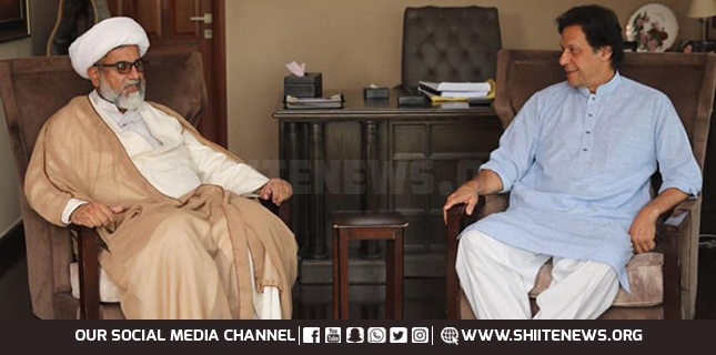 MWM-PTI alliance is not for any political gain, Allama Raja Nasir Abbas