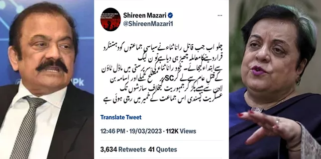 Dr Shireen Mazari lambasts Rana Sana political facilitators of banned outfits