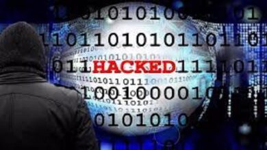 Dozens of Israeli websites targeted by pro-Palestine hacker groups in 48hr