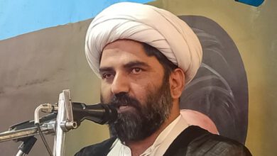 Imam Khomeini's call for unity had positive effects on whole world, Allama Domki