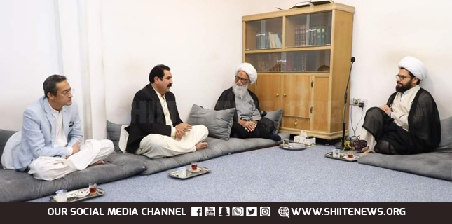 Minister for Overseas Pakistanis calls on Ayatollah Hafiz Bashir in Najaf