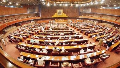 Senate pushes through Pakistan Army Act Bill 2023