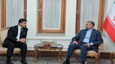 Iran has no limits to development of ties with Serbia FM