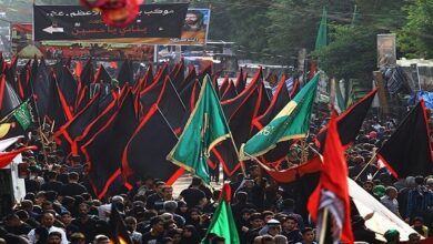 Iranian FM Arba’een march to Karbala angers, scares enemies