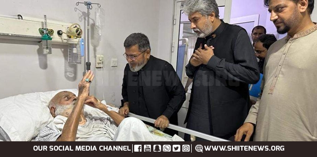 Allama Maithami visits Ayatollah Muhammad Hussain Najafi