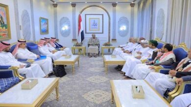 UAE seeking to obstruct Saudi-Yemen peace talks Report