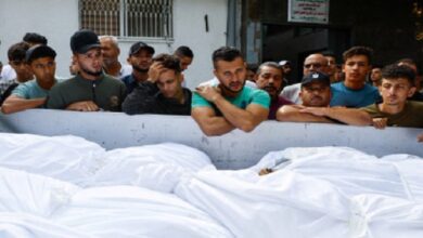 320 Palestinians killed in past 24 hours