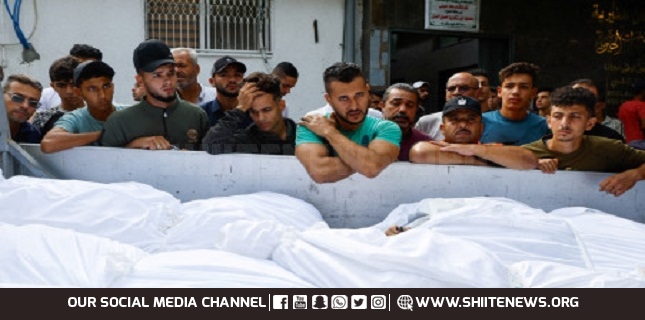 320 Palestinians killed in past 24 hours