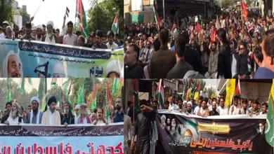 Palestine solidarity rally held in Tando Muhammad Khan