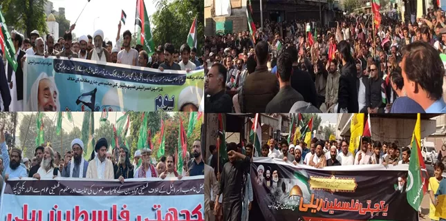 Palestine solidarity rally held in Tando Muhammad Khan