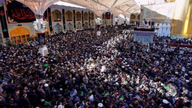 Najaf Ashraf: The Great Fatimi March: Photos