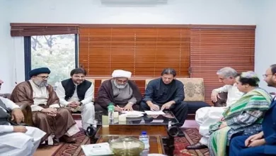MWM will alliance with PTI for upcoming elections, Nasir Abbas Sherazi