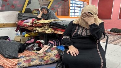 UN Warning: Risk of death for 113,000 pregnant and breastfeeding women in Gaza