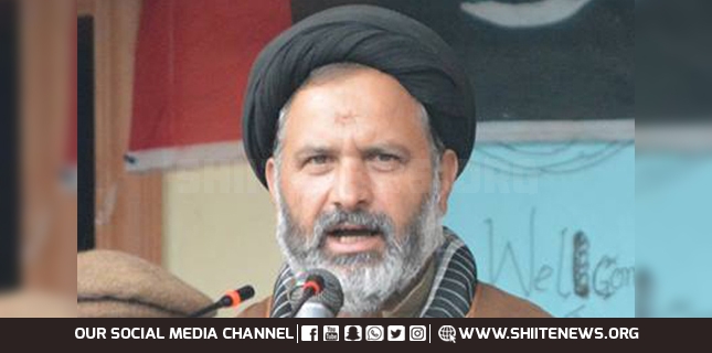 We reject increase in wheat prices, joint action plan will be announced, Agha Ali Rizvi