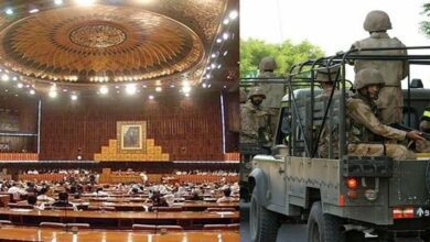 Senate passes resolution seeking ‘severe punishment’ for anti-army propaganda