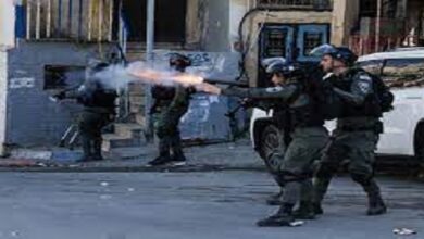 Three teenagers killed near illegal settlement in occupied West Bank Wafa