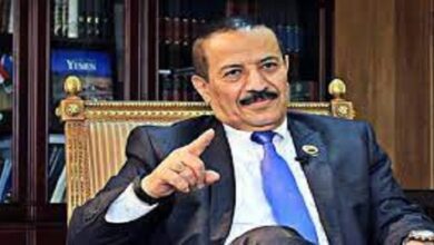 Attacks on Israel-bound ships in Red Sea ‘a pure Yemeni decision’: Top diplomat