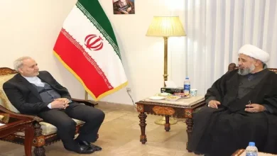 Shaheedi expresses regret over Kerman incident