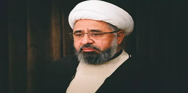 Shariah matters cannot be dealt with English laws, Allama Amin Shaheedi