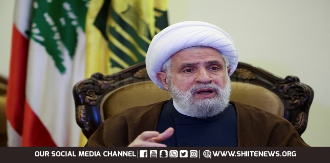 Interests of Lebanon, Palestine are deeply intertwined: Sheikh Naim Qassem