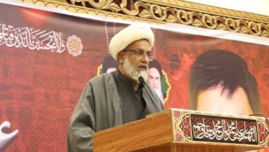Shia-Sunni unity is the path of development of the country, Raja Nasir Abbas